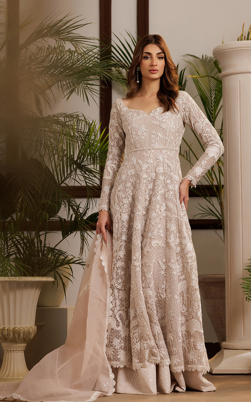 Net Embroidered Dress – Threads & Motifs