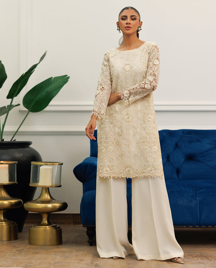 Embroidered Organza Shirt