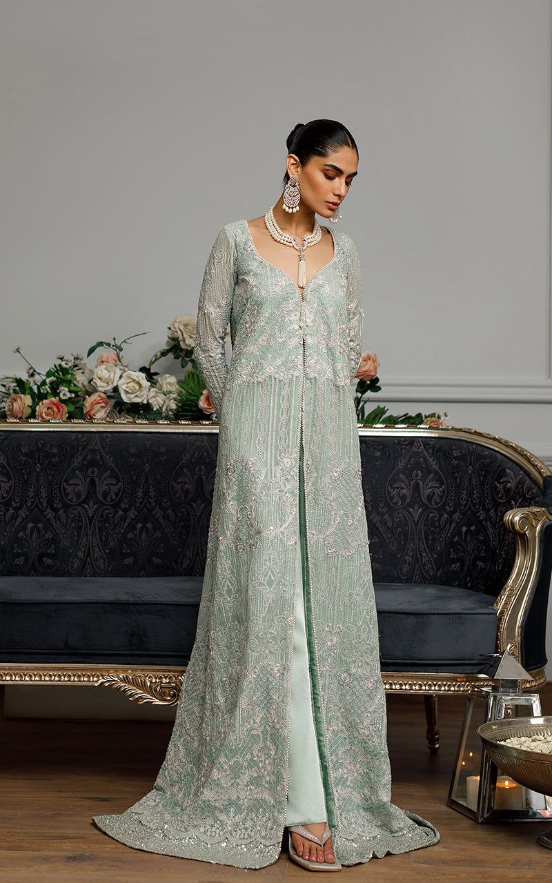 Chiffon Embroidered Dress Threads & Motifs Chiffon Embroidered Dress Threads & Motifs