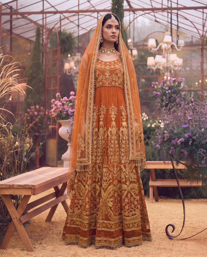 Net Embroidered Maxi and Dupatta (RTW)