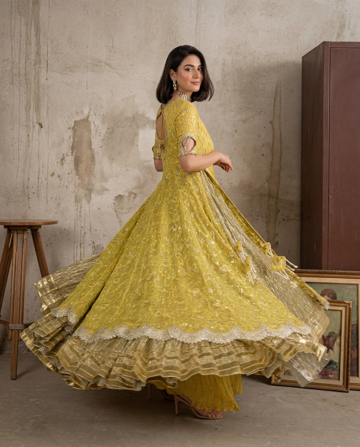 Royale Anarkali