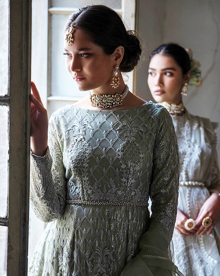 Net Embroidered Dress