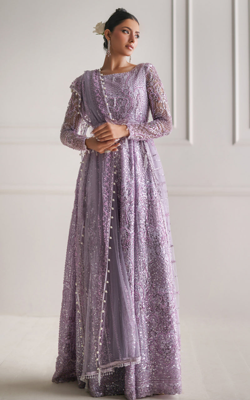 Net Embroidered Maxi (RTW)