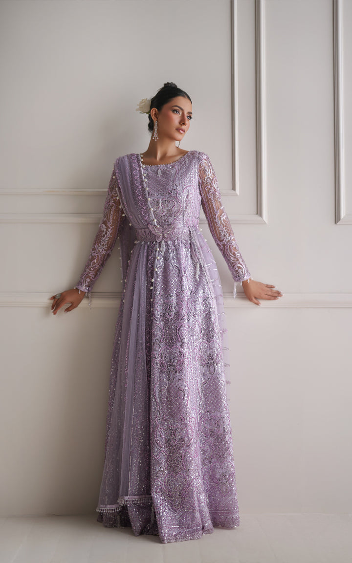 Net Embroidered Maxi (RTW)
