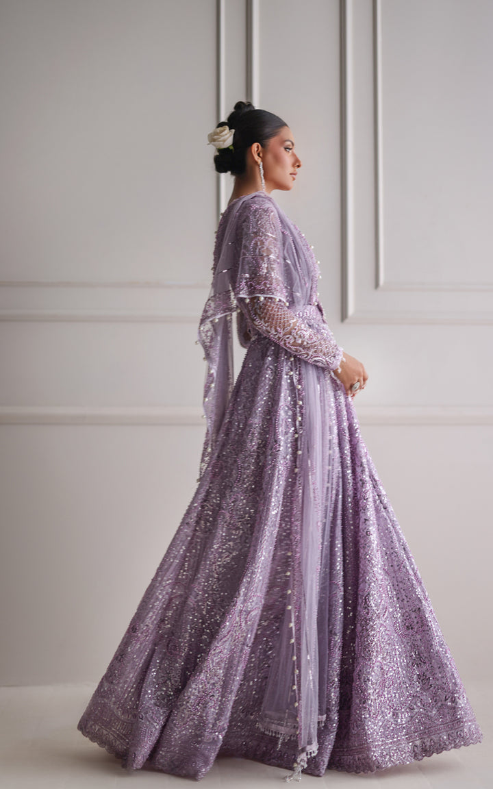 Net Embroidered Maxi (RTW)