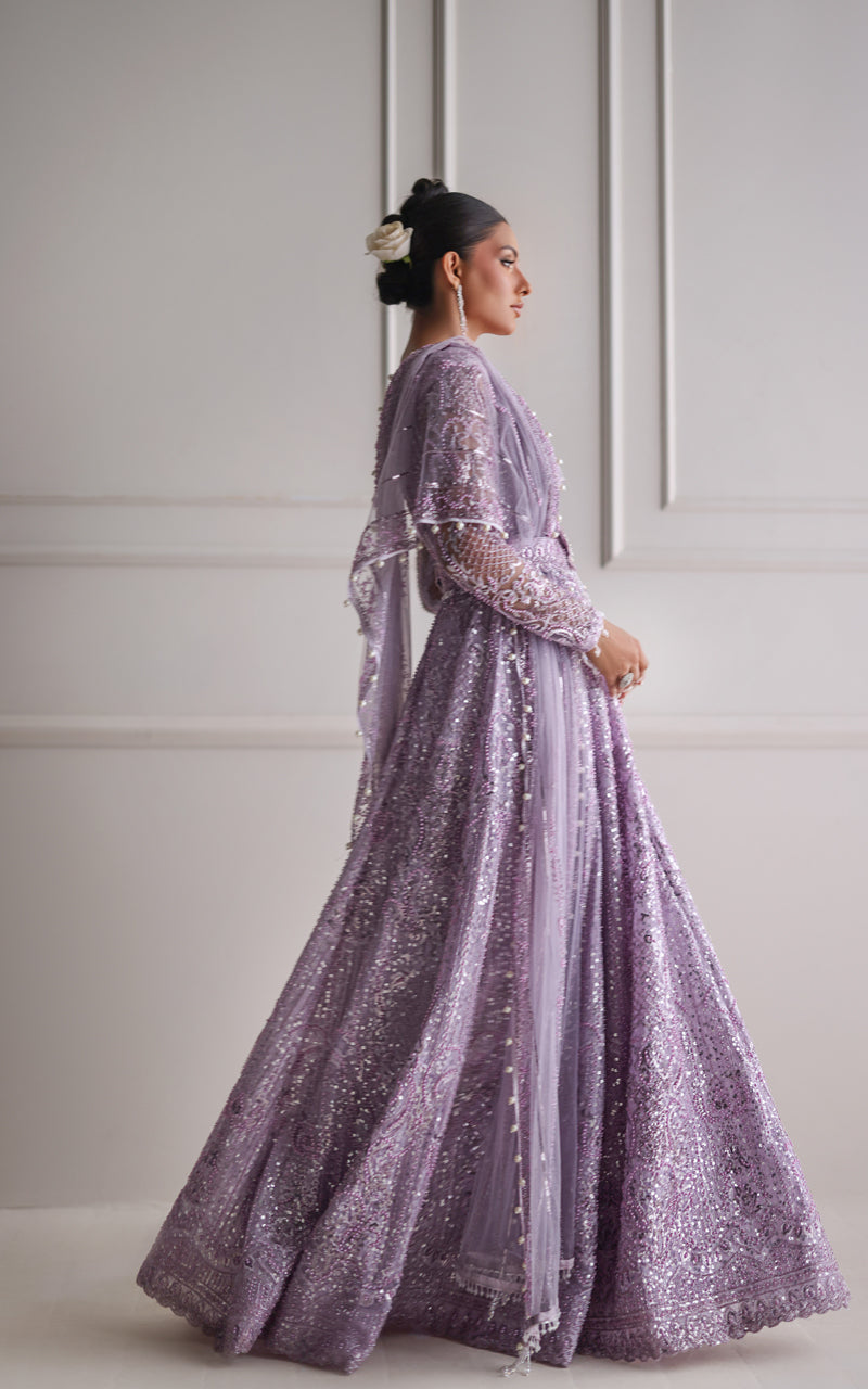 Net Embroidered Maxi (RTW)