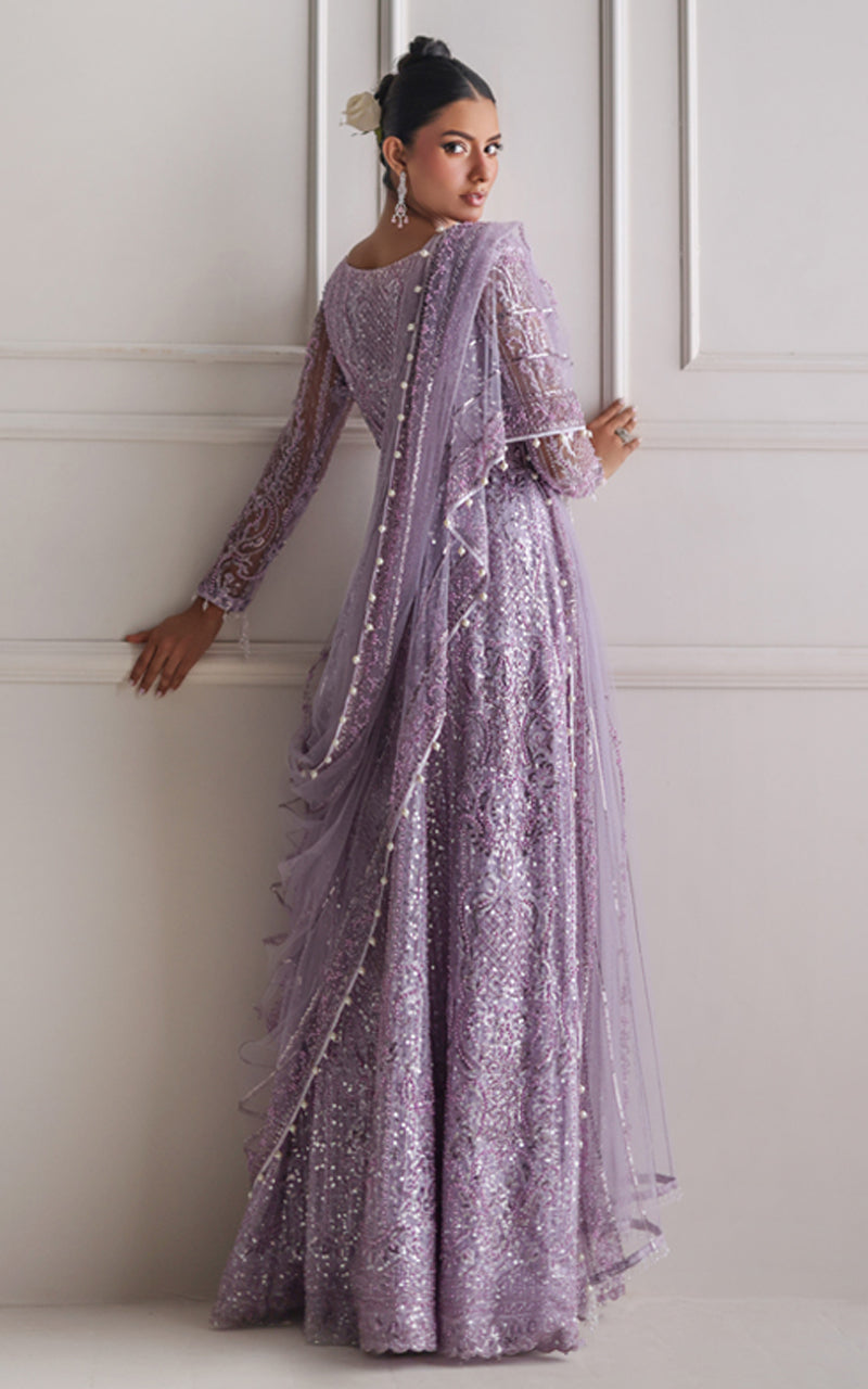 Net Embroidered Maxi (RTW)