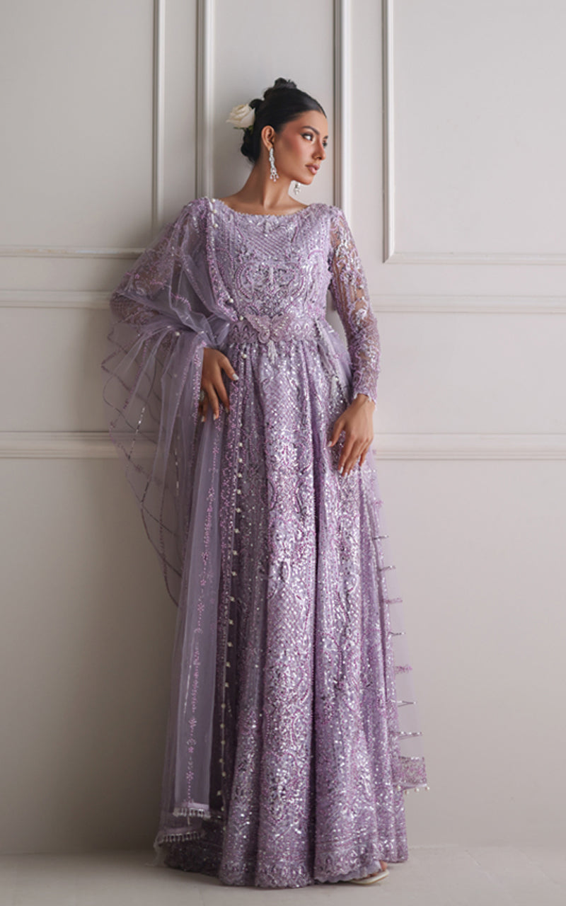 Net Embroidered Maxi (RTW)