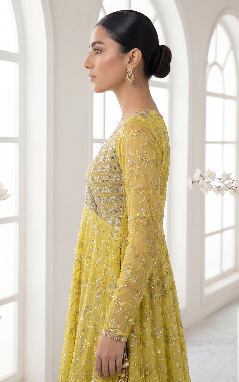 EMBROIDERD DRESS WITH GHARARA TROUSER