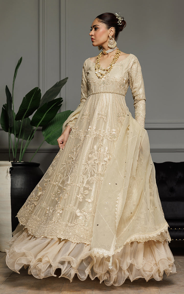 Net Embroidered Maxi