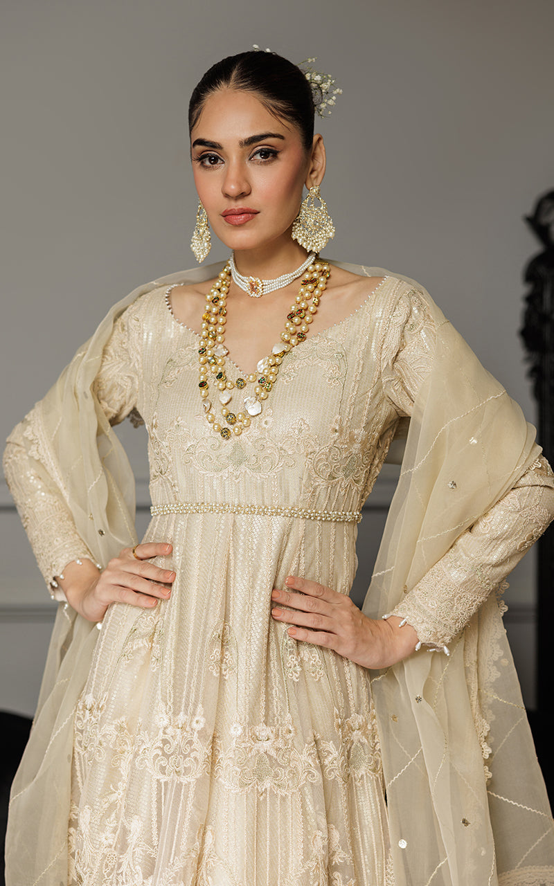 Net Embroidered Maxi