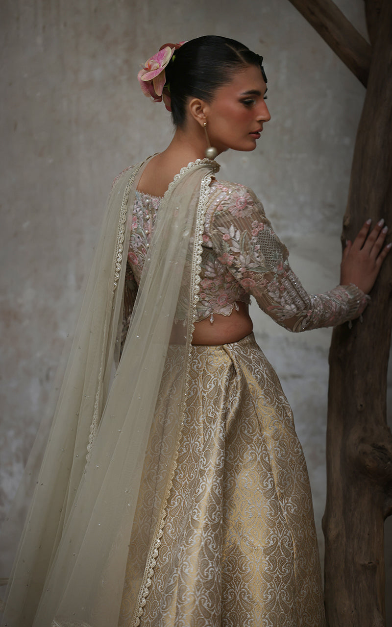 Organza Embroidered Blouse With Lehenga