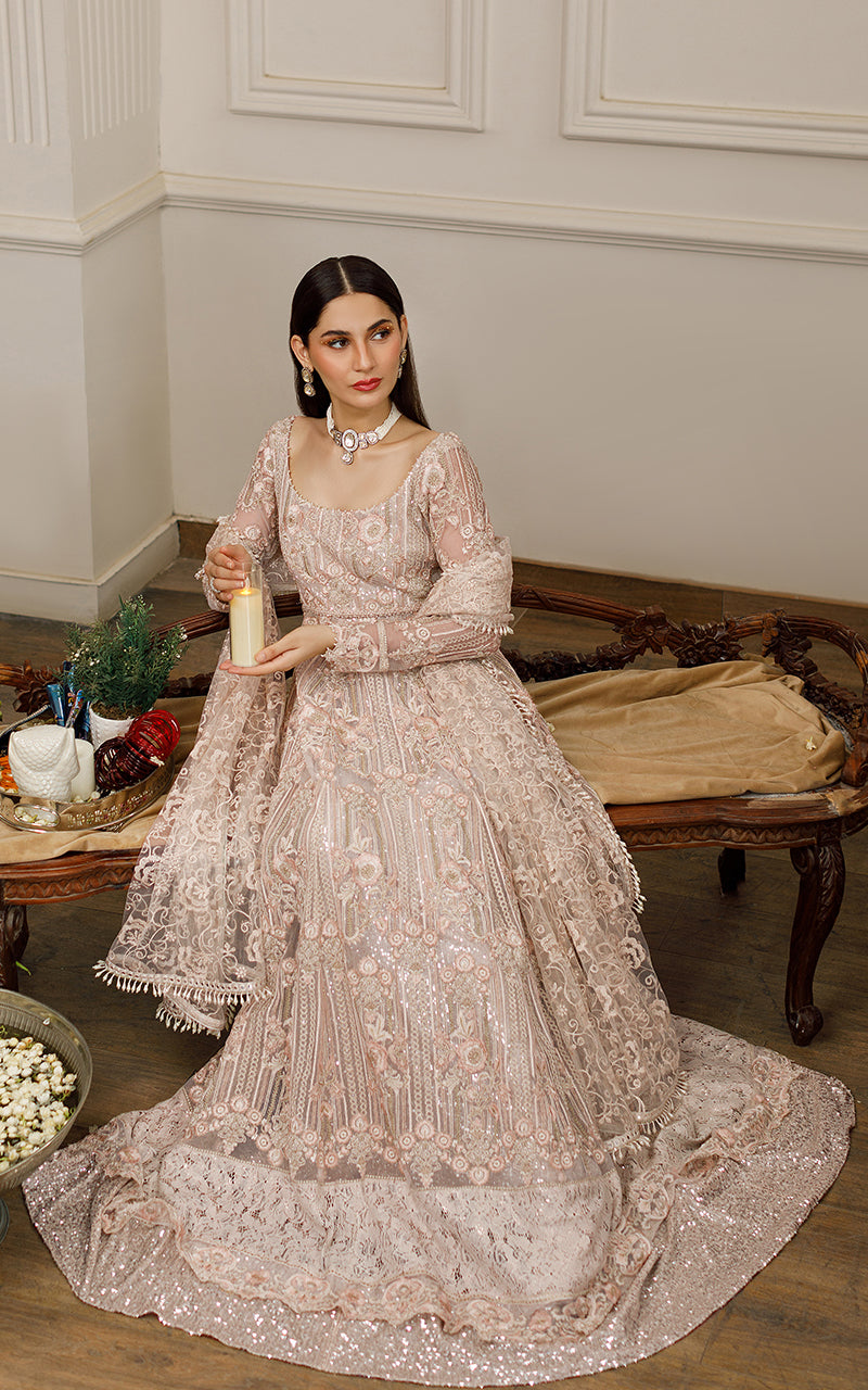 Net Embroidered Maxi