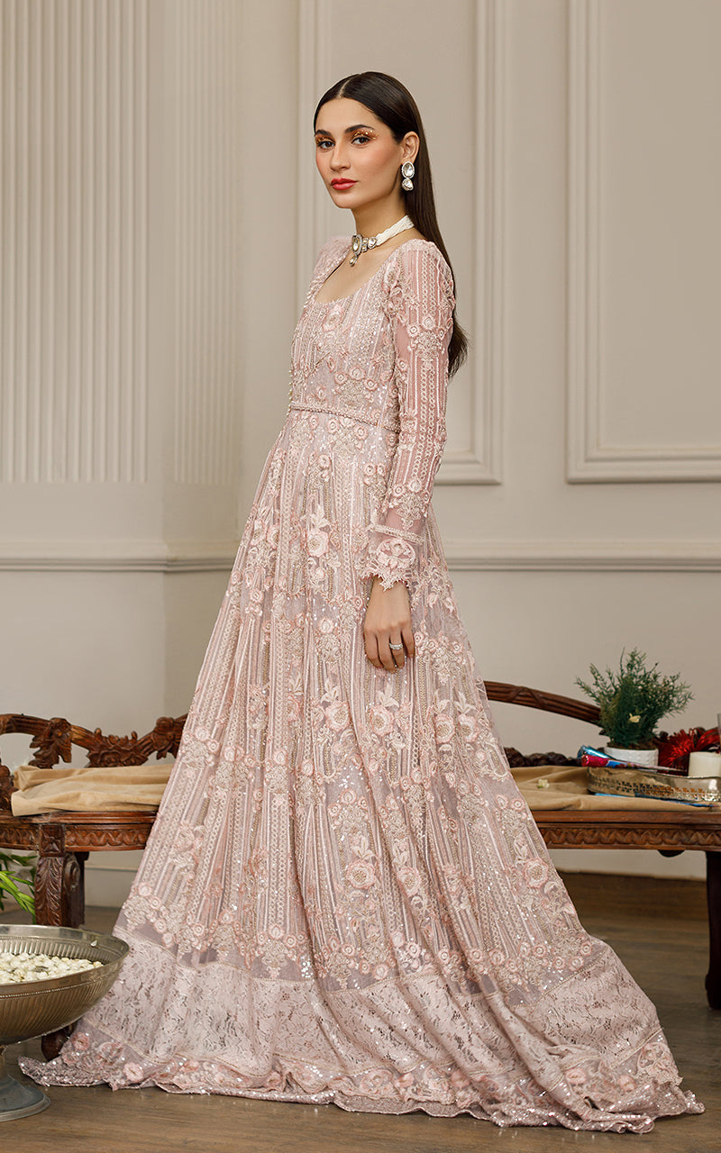 Net Embroidered Maxi