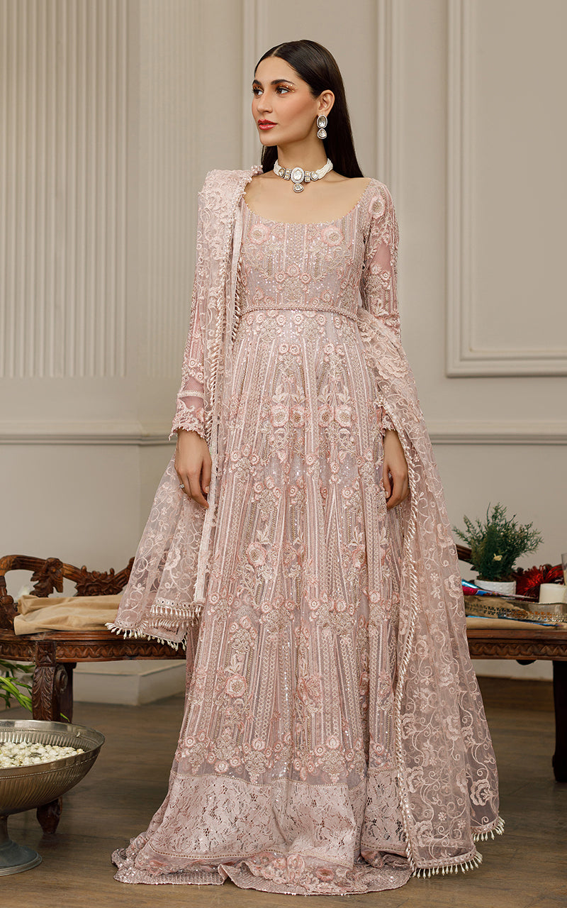 Net Embroidered Maxi