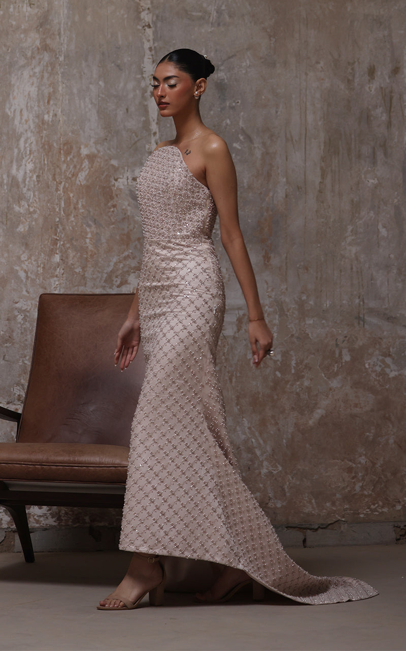 Net Embroidered Dress