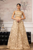 Unstitched Embroidered Blouse And Lehenga