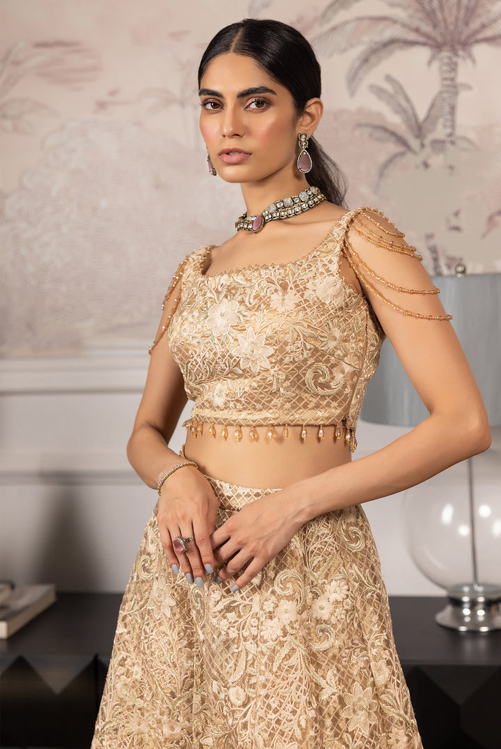 Embroidered Blouse And Lehenga