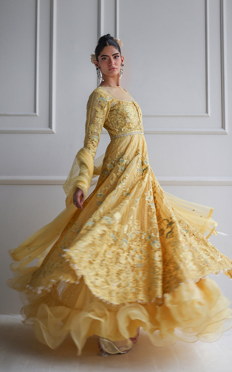 Organza Embroidered Maxi