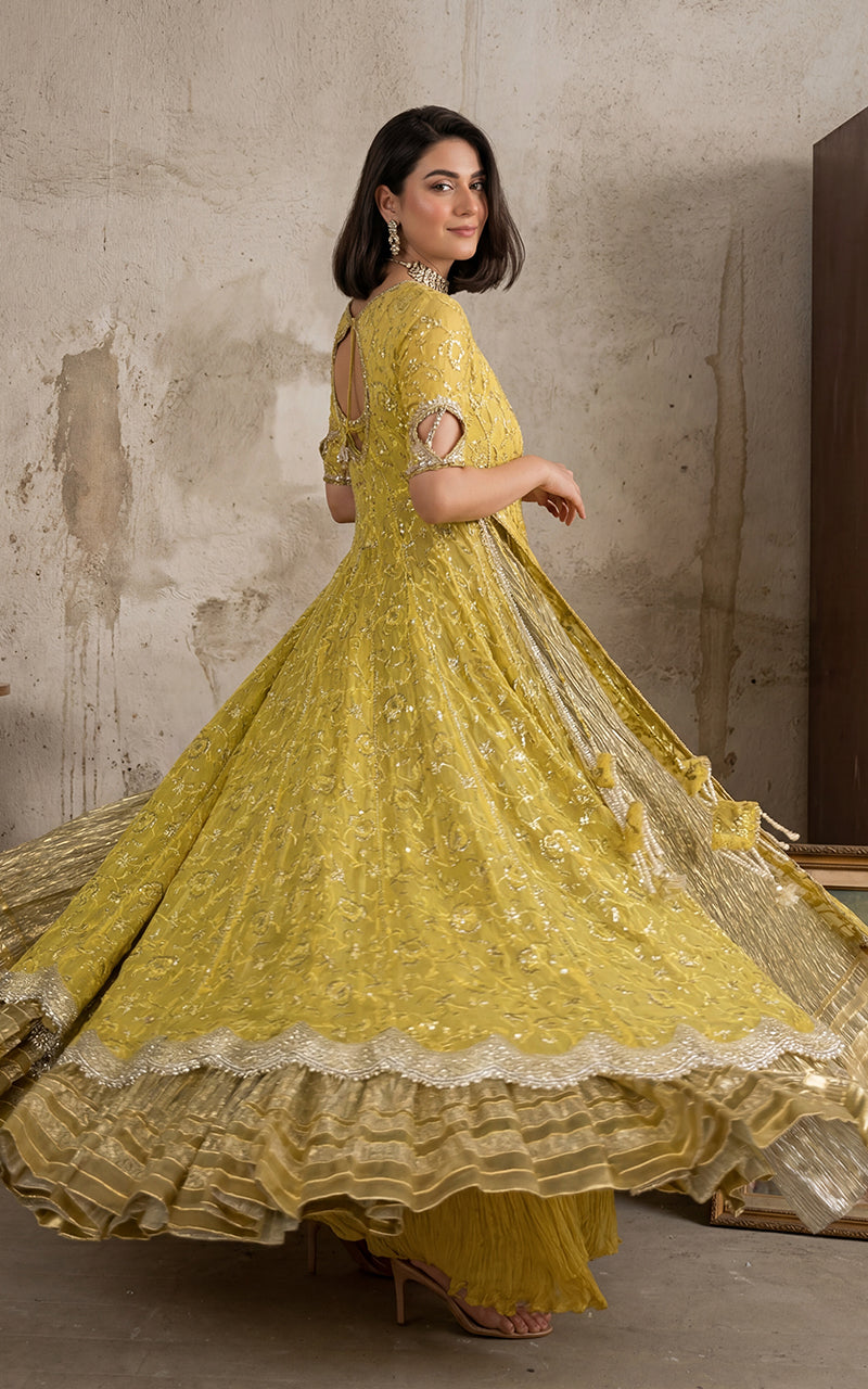 Royale Anarkali