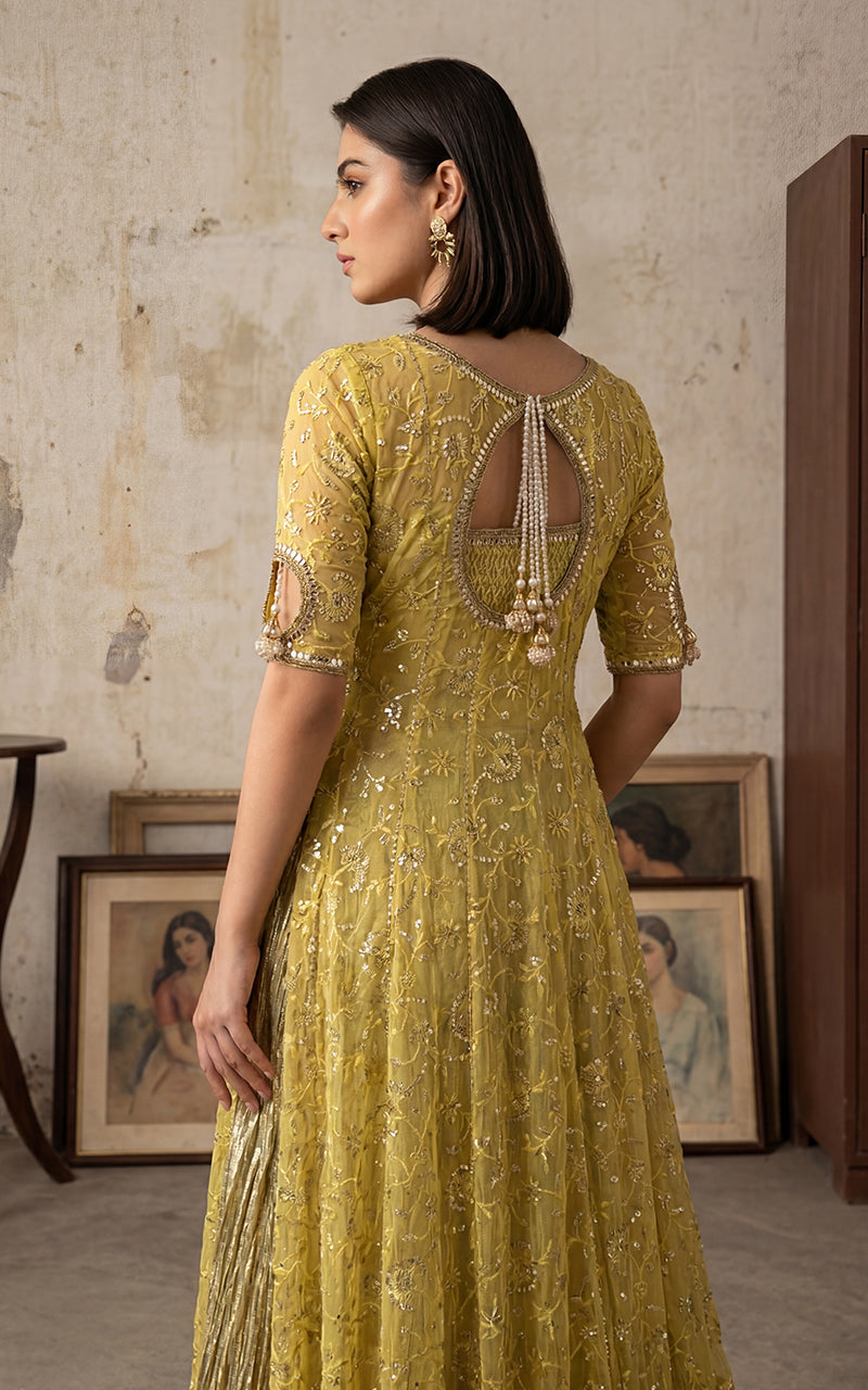 Royale Anarkali