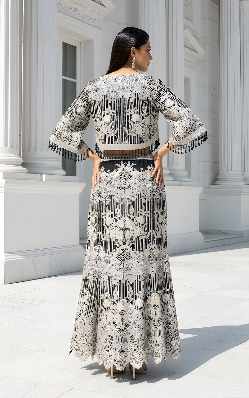 Organza Embroidered Cape With Skirt