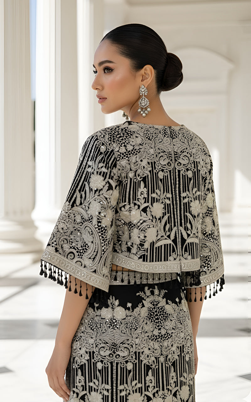 Organza Embroidered Cape With Skirt