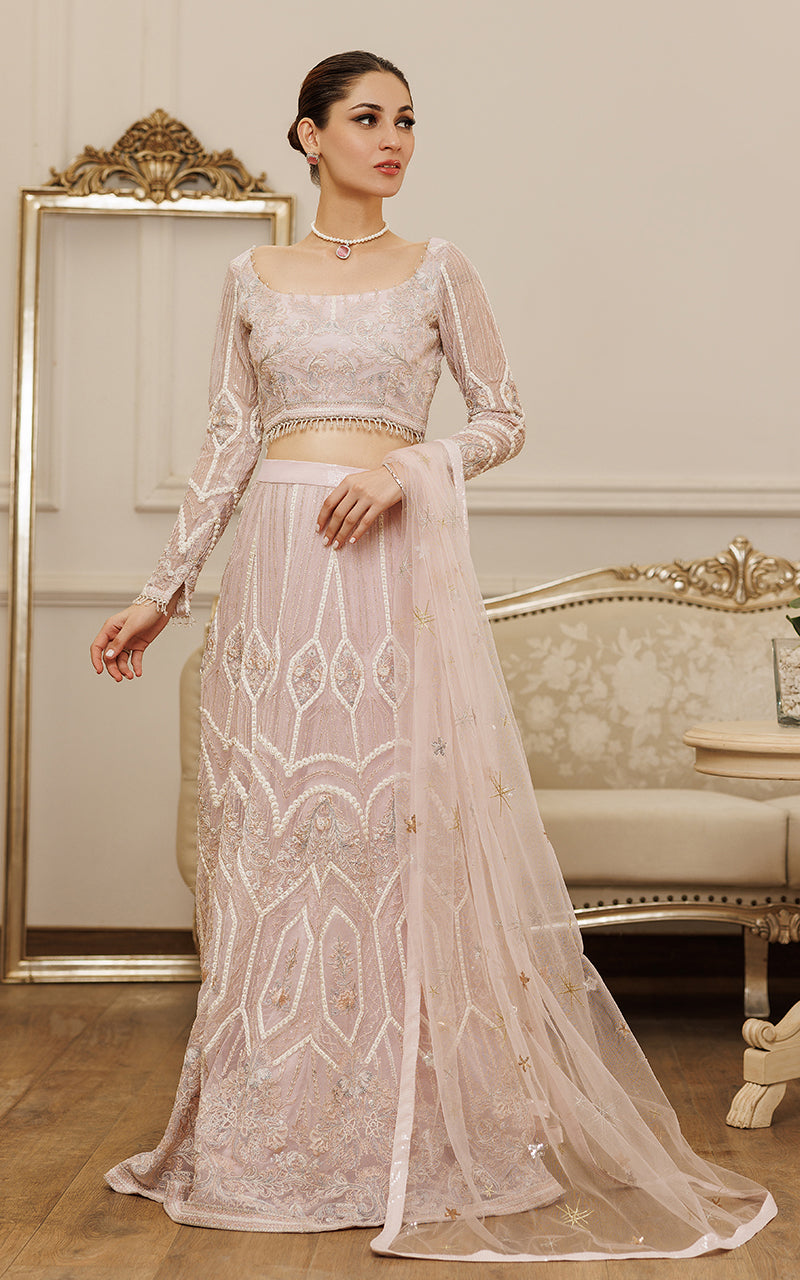 Net Embroidered Blouse And Lehenga