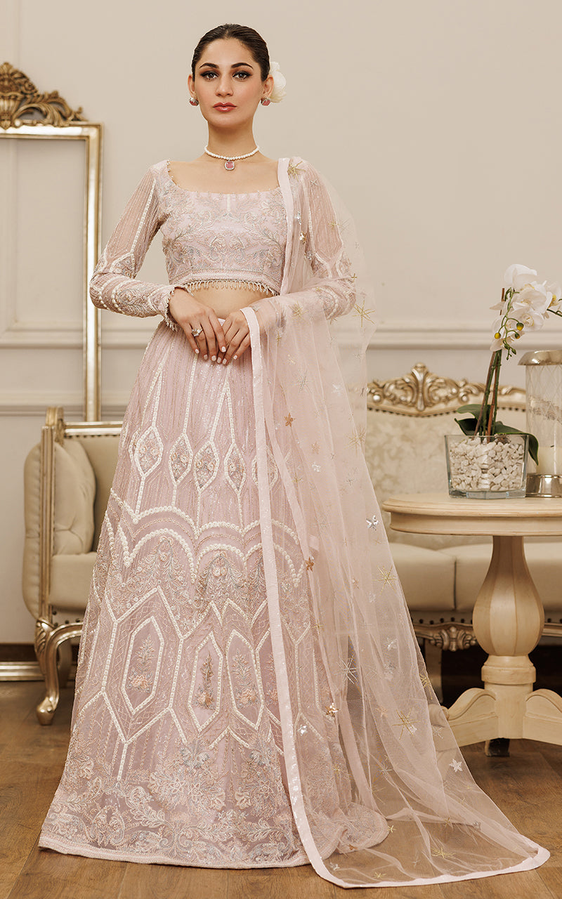 Net Embroidered Blouse And Lehenga
