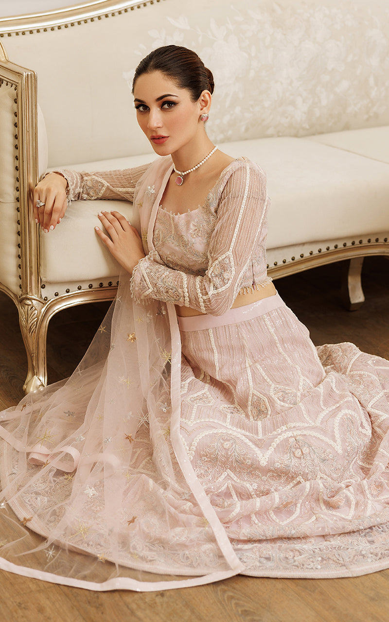 Net Embroidered Blouse And Lehenga