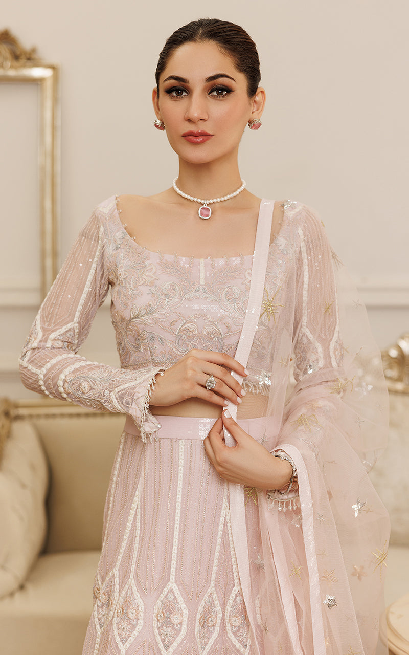 Net Embroidered Blouse And Lehenga