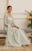 Net Embroidered Gown With Skirt