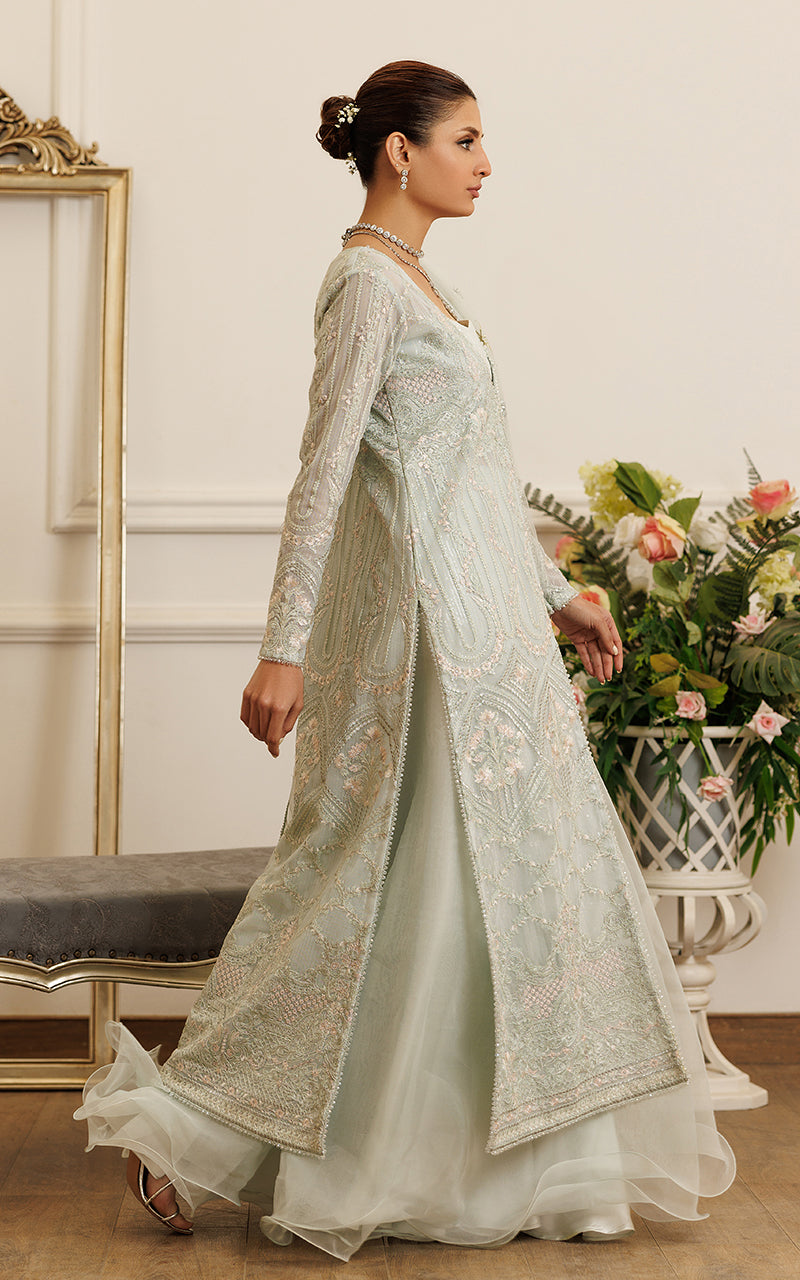 Net Embroidered Gown With Skirt