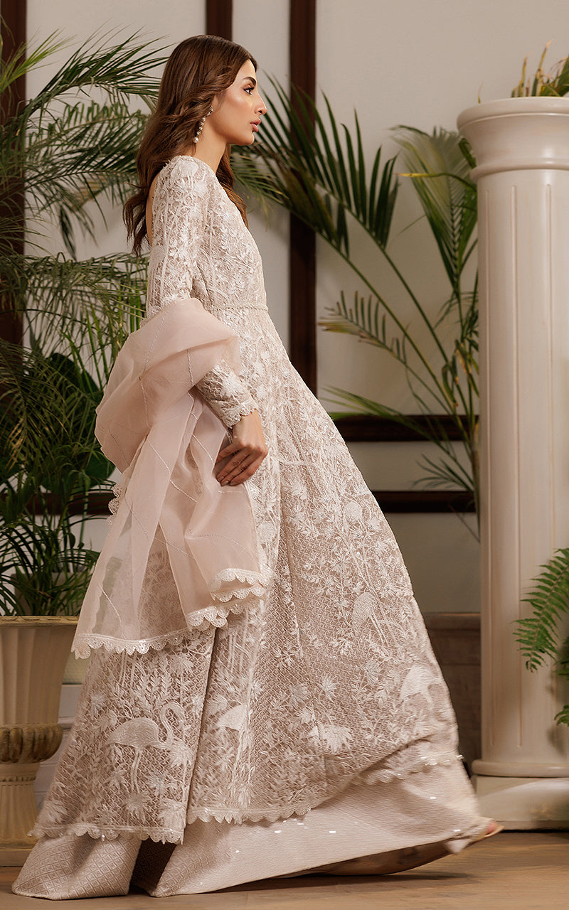 Net Embroidered Dress