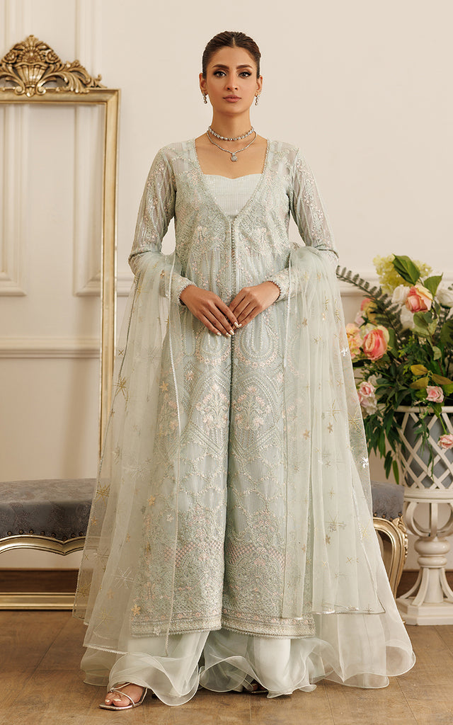 Net Embroidered Gown With Skirt