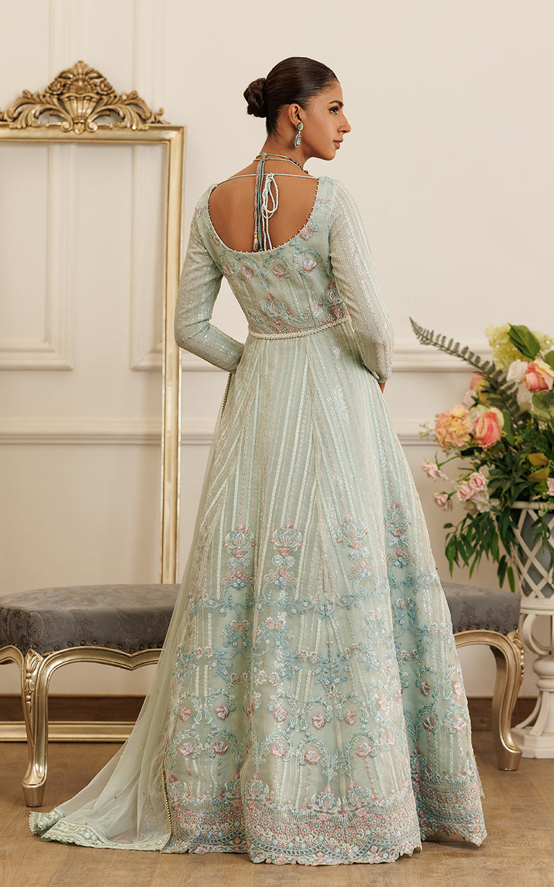 Organza Embroidered Maxi