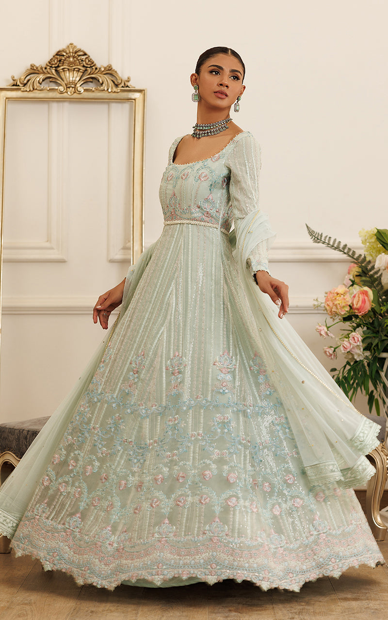 Organza Embroidered Maxi