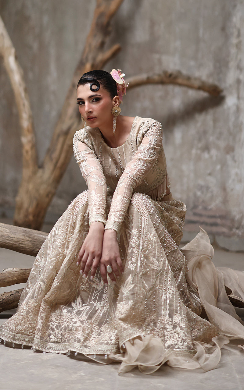 Organza Embroidered Blouse And Lehenga
