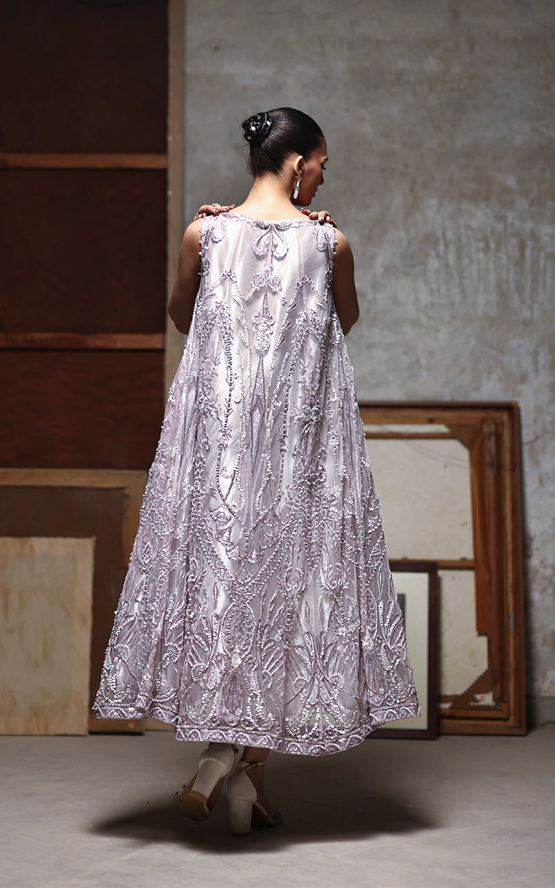 Net Embroidered Dress