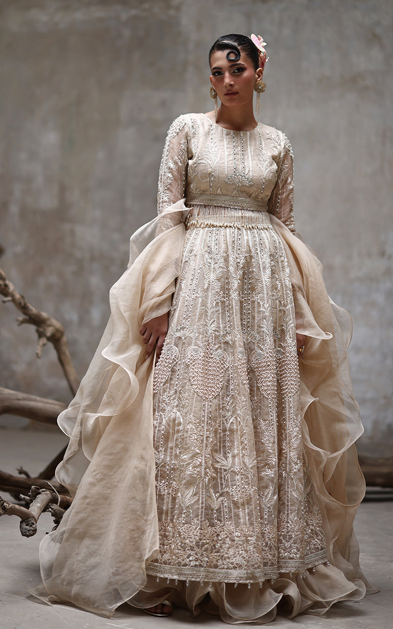 Organza Embroidered Blouse And Lehenga