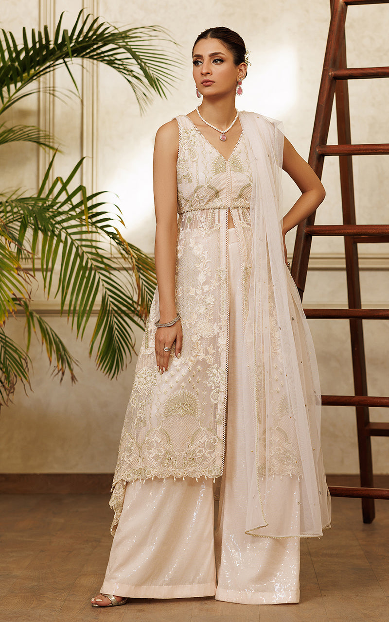 Net Embroidered Dress With Trouser