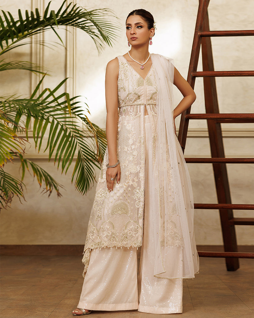 Net Embroidered Dress With Trouser