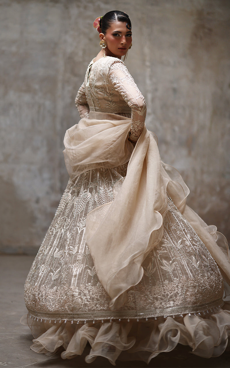 Organza Embroidered Blouse And Lehenga