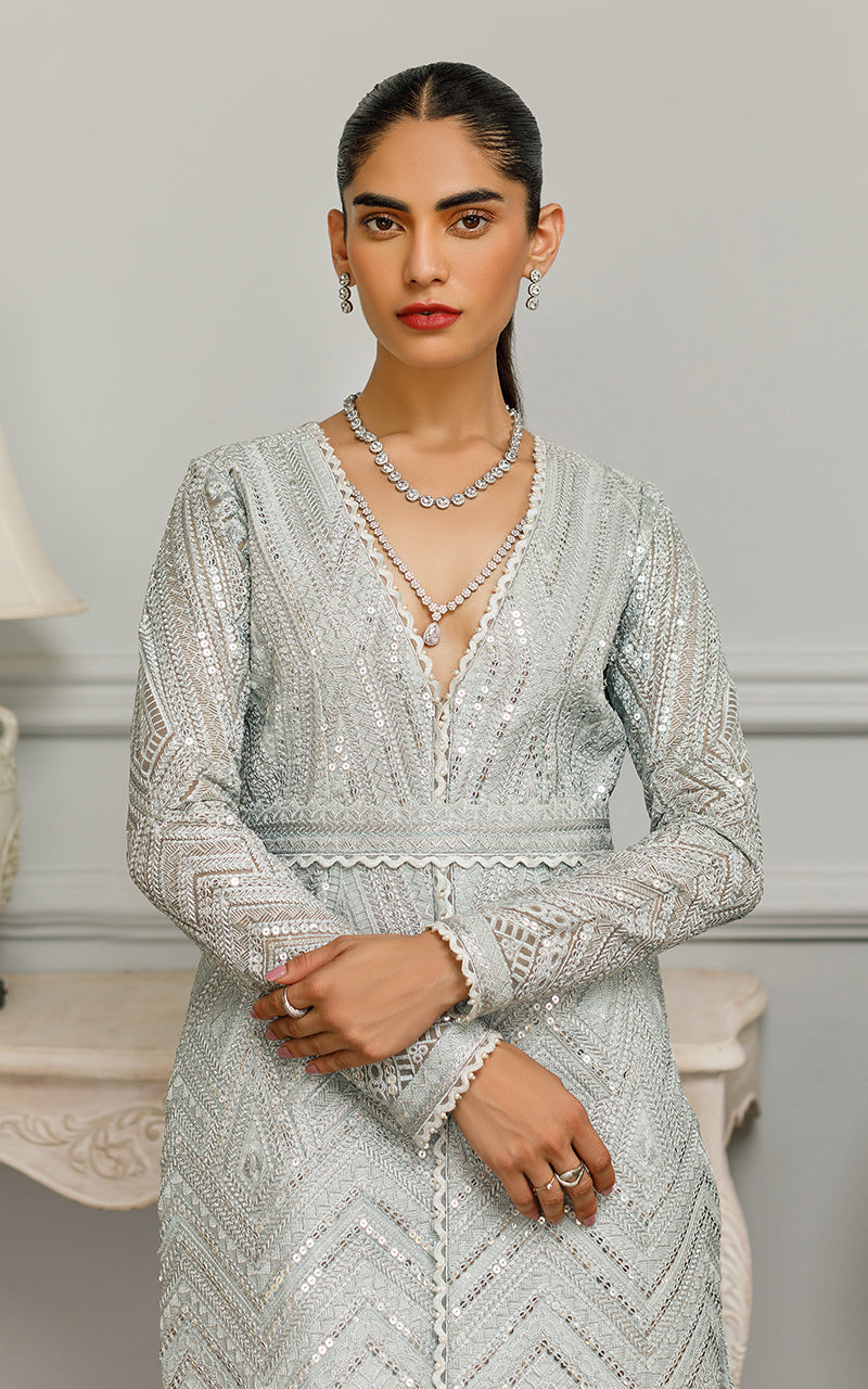 Organza Embroidered Peplum