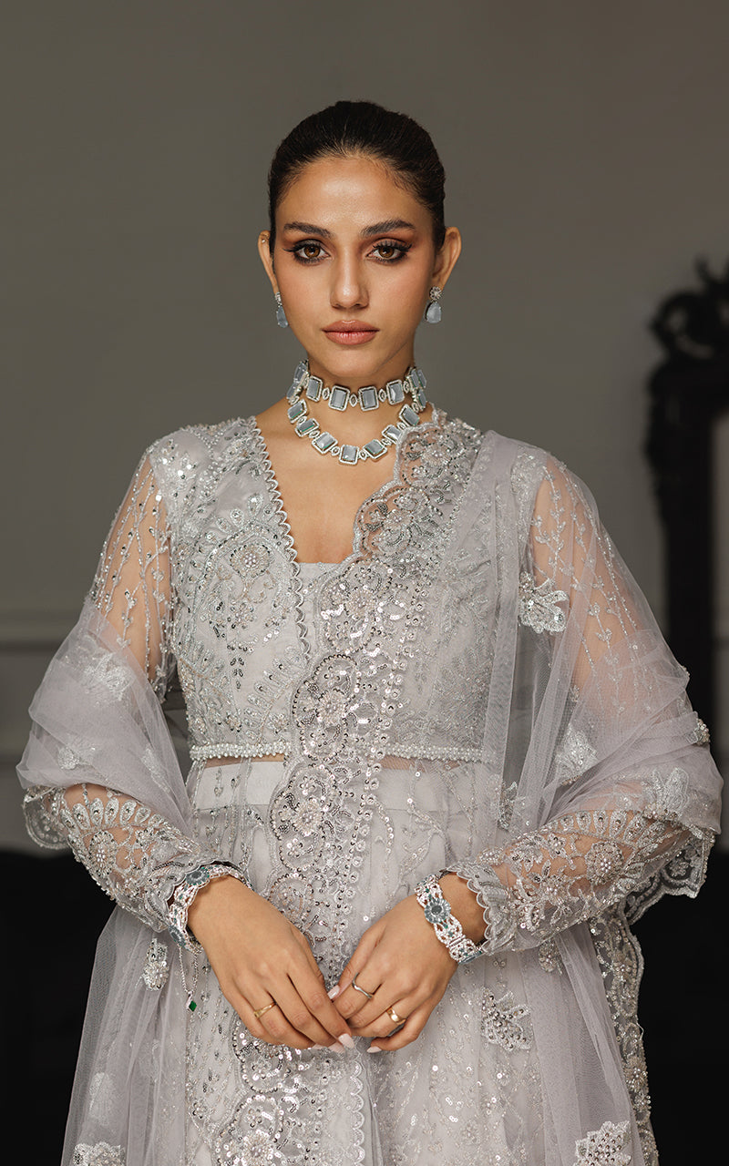 Net Embroidered Dress With Skirt And Dupatta