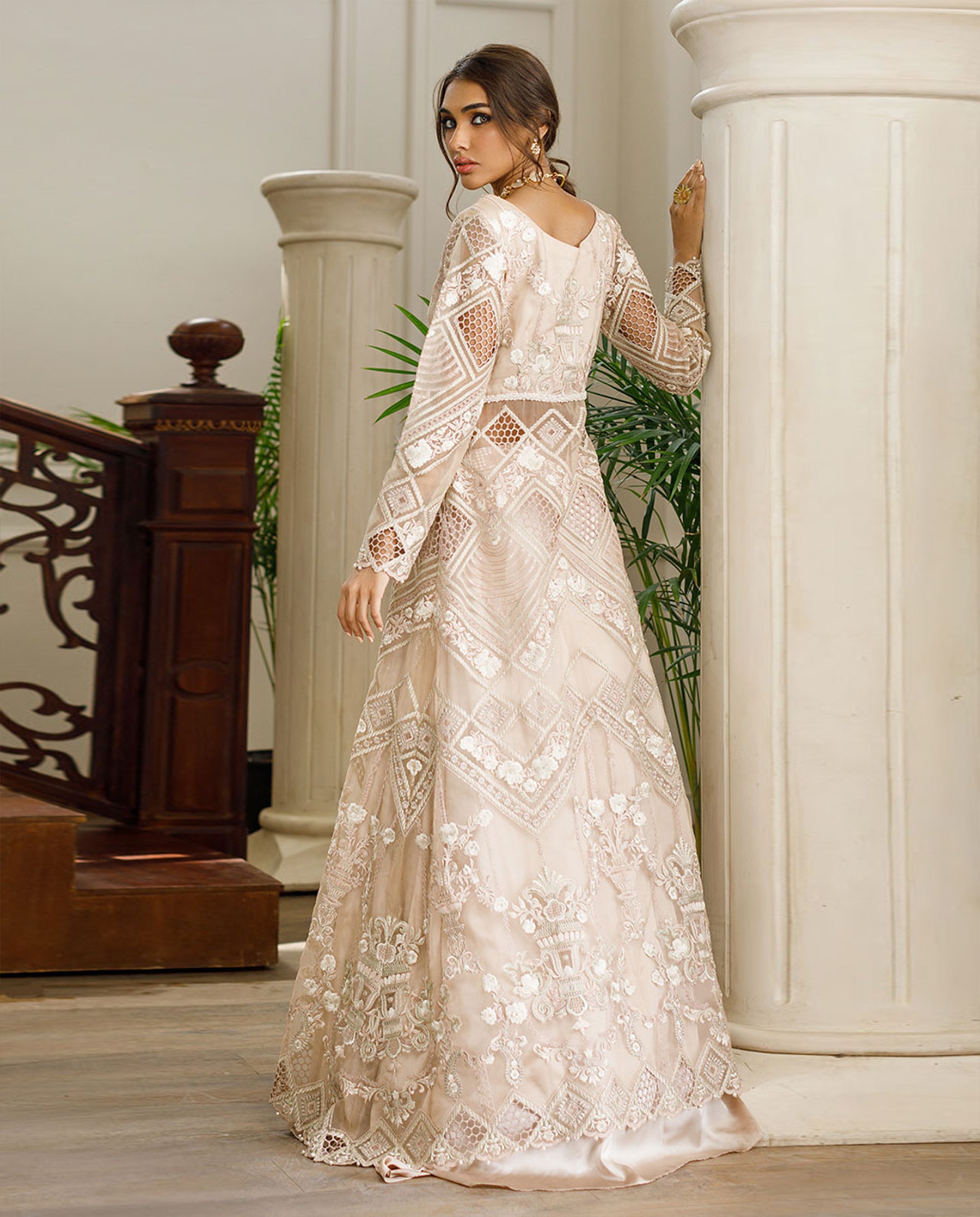 Organza Embroidered Dress With Skirt