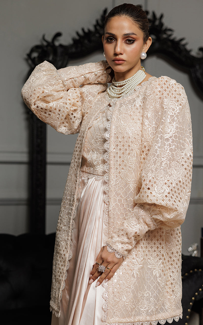 Organza Embroidered Jacket With Embroidered Tube And Skirt