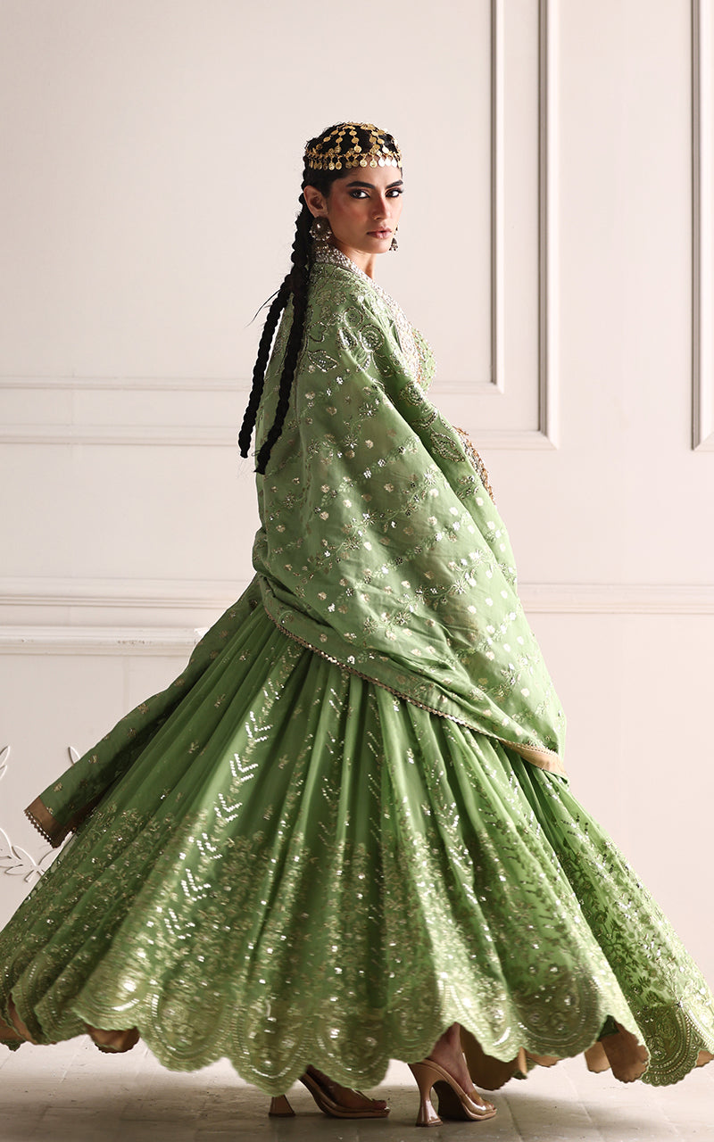 Embroidered Blouse And Lehenga