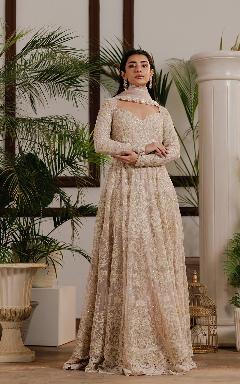 Net Embroidered Maxi
