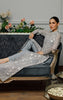 Net Embroidered Dress